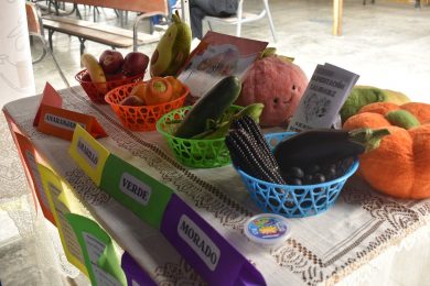 𝗣𝗢𝗥 𝗨𝗡𝗔 𝗔𝗟𝗜𝗠𝗘𝗡𝗧𝗔𝗖𝗜Ó𝗡 𝗦𝗔𝗟𝗨𝗗𝗔𝗕𝗟𝗘