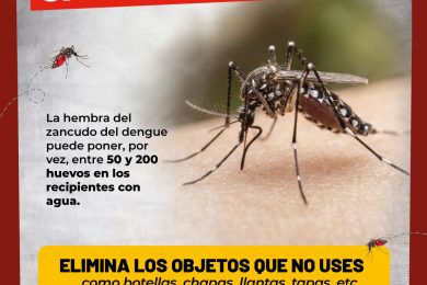 #𝗛𝗖𝗟𝗟𝗛𝗶𝗻𝗳𝗼𝗿𝗺𝗮