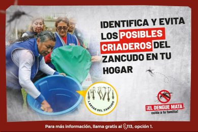 🦟⚠️ 𝗘𝗹 𝘇𝗮𝗻𝗰𝘂𝗱𝗼 𝗱𝗲𝗹 𝗱𝗲𝗻𝗴𝘂𝗲 𝘀𝗲 𝗽𝘂𝗲𝗱𝗲 𝗲𝘀𝘁𝗮𝗿 𝗰𝗿𝗶𝗮𝗻𝗱𝗼 𝗲𝗻 𝘁𝘂 𝗽𝗿𝗼𝗽𝗶𝗮 𝗰𝗮𝘀𝗮… 𝘆 𝗻𝗼 𝗹𝗼 𝘃𝗲𝘀.