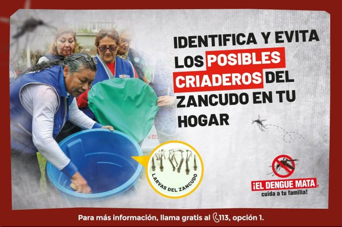 🦟⚠️ 𝗘𝗹 𝘇𝗮𝗻𝗰𝘂𝗱𝗼 𝗱𝗲𝗹 𝗱𝗲𝗻𝗴𝘂𝗲 𝘀𝗲 𝗽𝘂𝗲𝗱𝗲 𝗲𝘀𝘁𝗮𝗿 𝗰𝗿𝗶𝗮𝗻𝗱𝗼 𝗲𝗻 𝘁𝘂 𝗽𝗿𝗼𝗽𝗶𝗮 𝗰𝗮𝘀𝗮… 𝘆 𝗻𝗼 𝗹𝗼 𝘃𝗲𝘀.