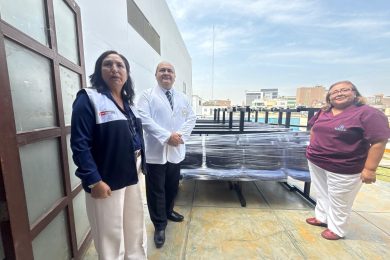 𝗛𝗖𝗟𝗟𝗛 𝗔𝗗𝗤𝗨𝗜𝗘𝗥𝗘 𝗠𝗢𝗕𝗜𝗟𝗜𝗔𝗥𝗜𝗢 𝗣𝗔𝗥𝗔 𝗦𝗨 𝗔𝗨𝗗𝗜𝗧𝗢𝗥𝗜𝗢