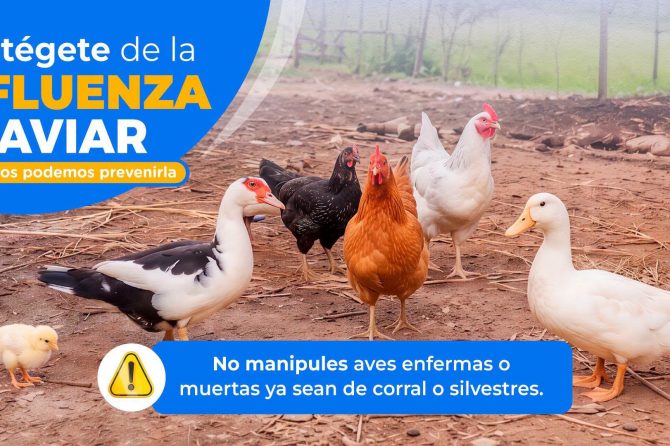 #HCLLHINFORMA